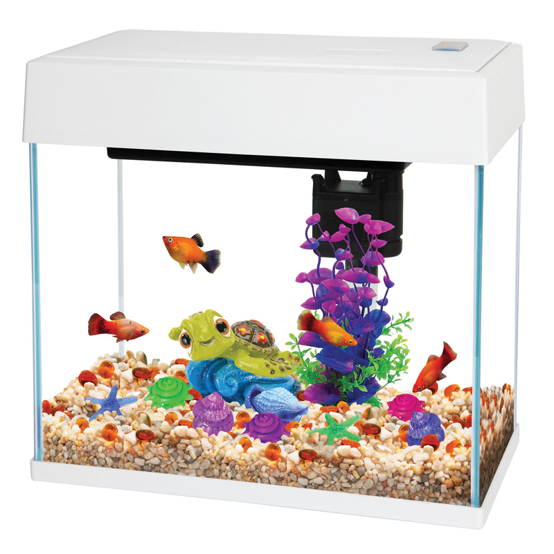 petco hexagon aquarium