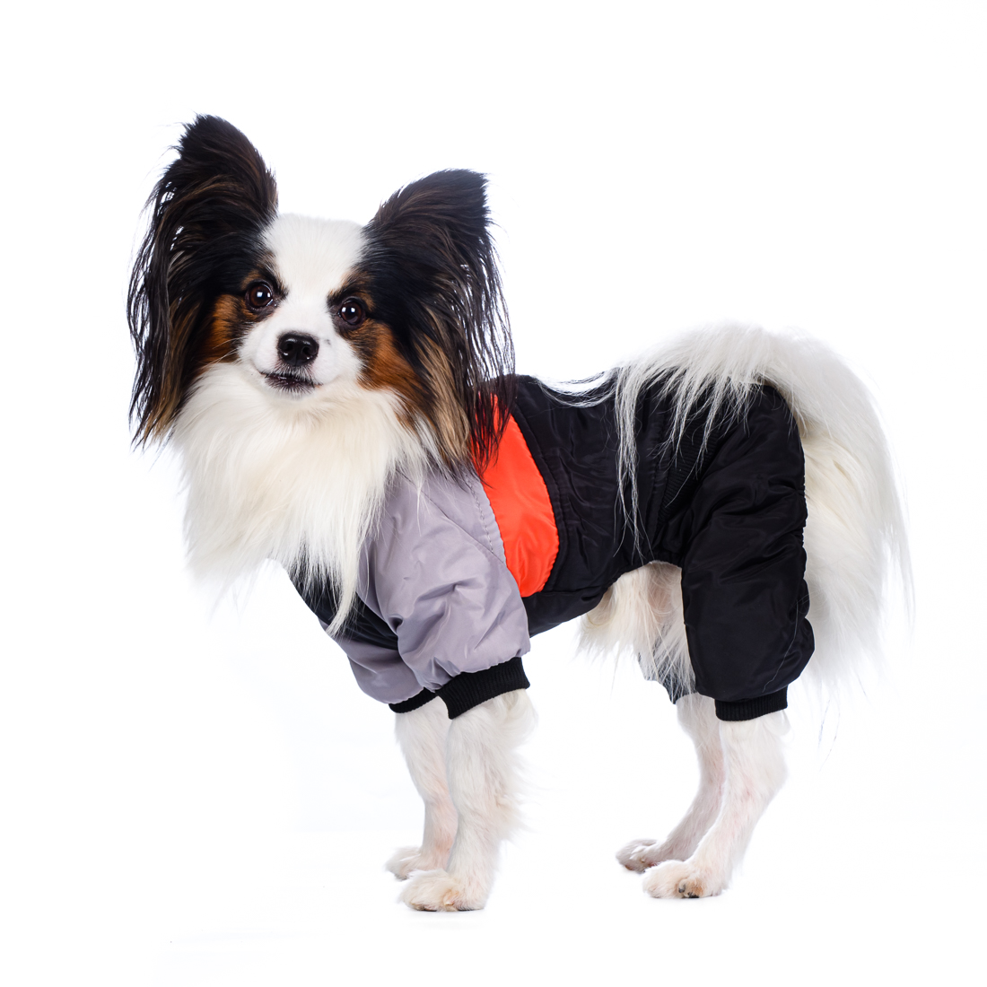 

Petmax Комбинезон для собак коричневый на молнии 3XL