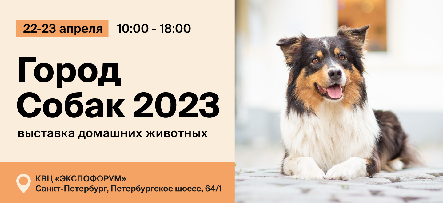 Выставка домашних животных «Город собак. Весна-2023»