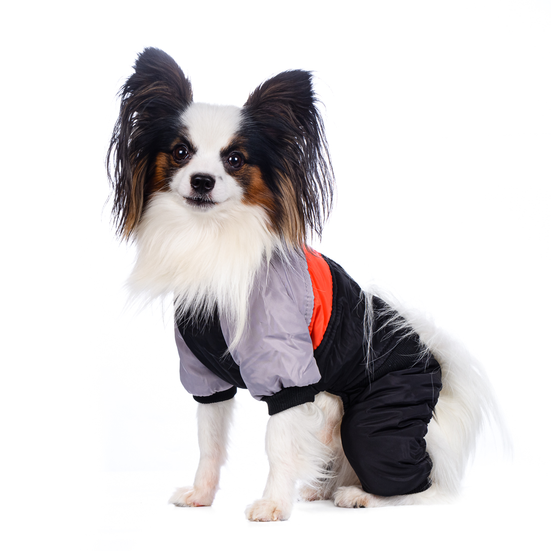 

Petmax Комбинезон для собак коричневый на молнии XL