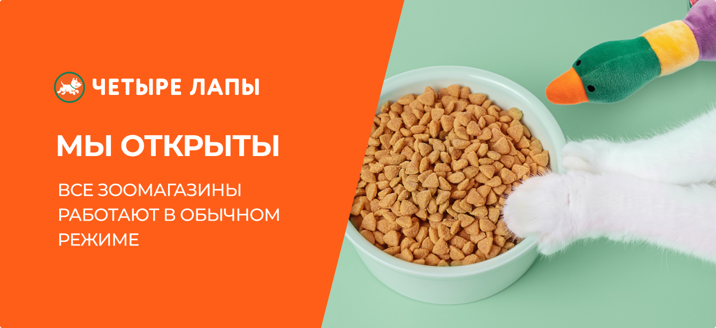 Зоомагазины «Четыре Лапы» работают в обычном режиме - интернет-зоомагазин Четыре  Лапы