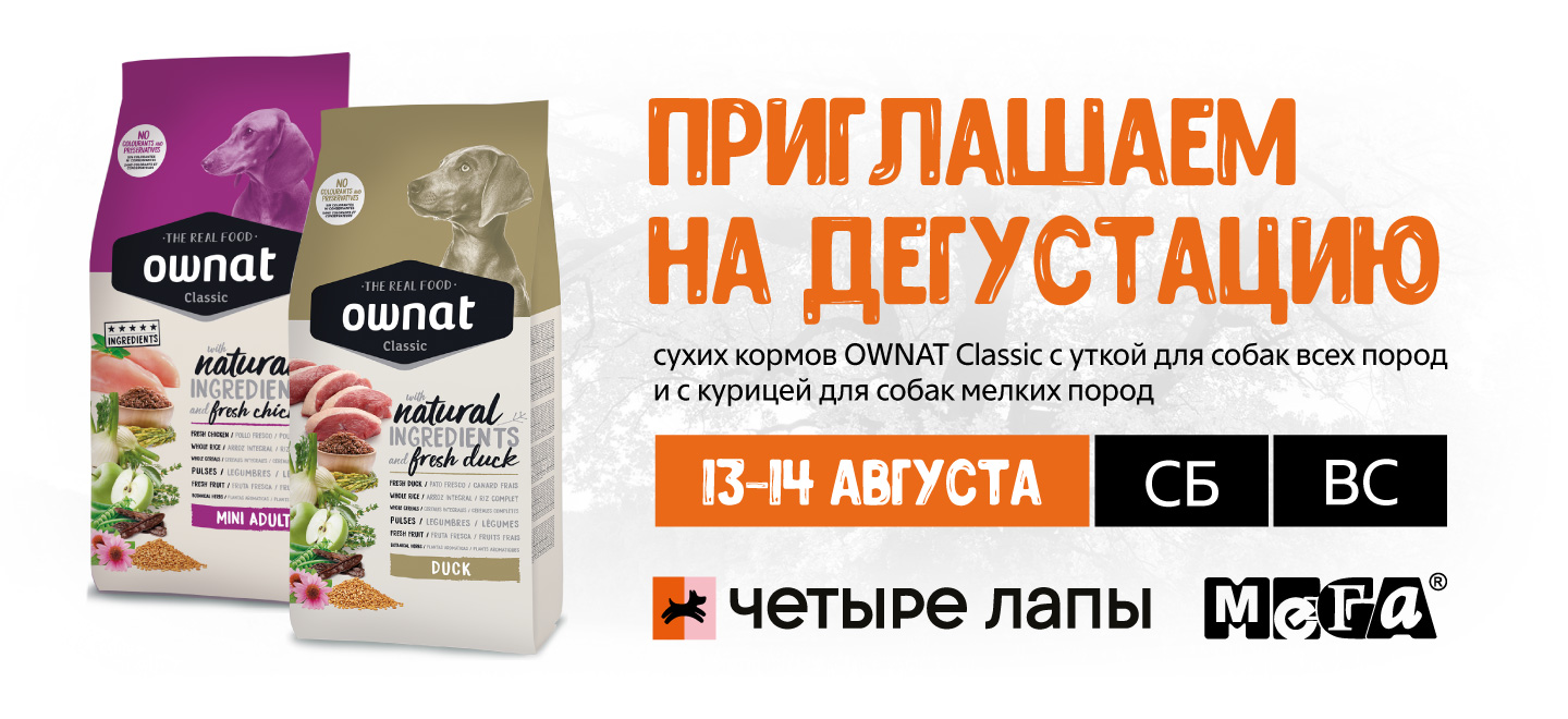 Дегустация кормов Ownat Classic