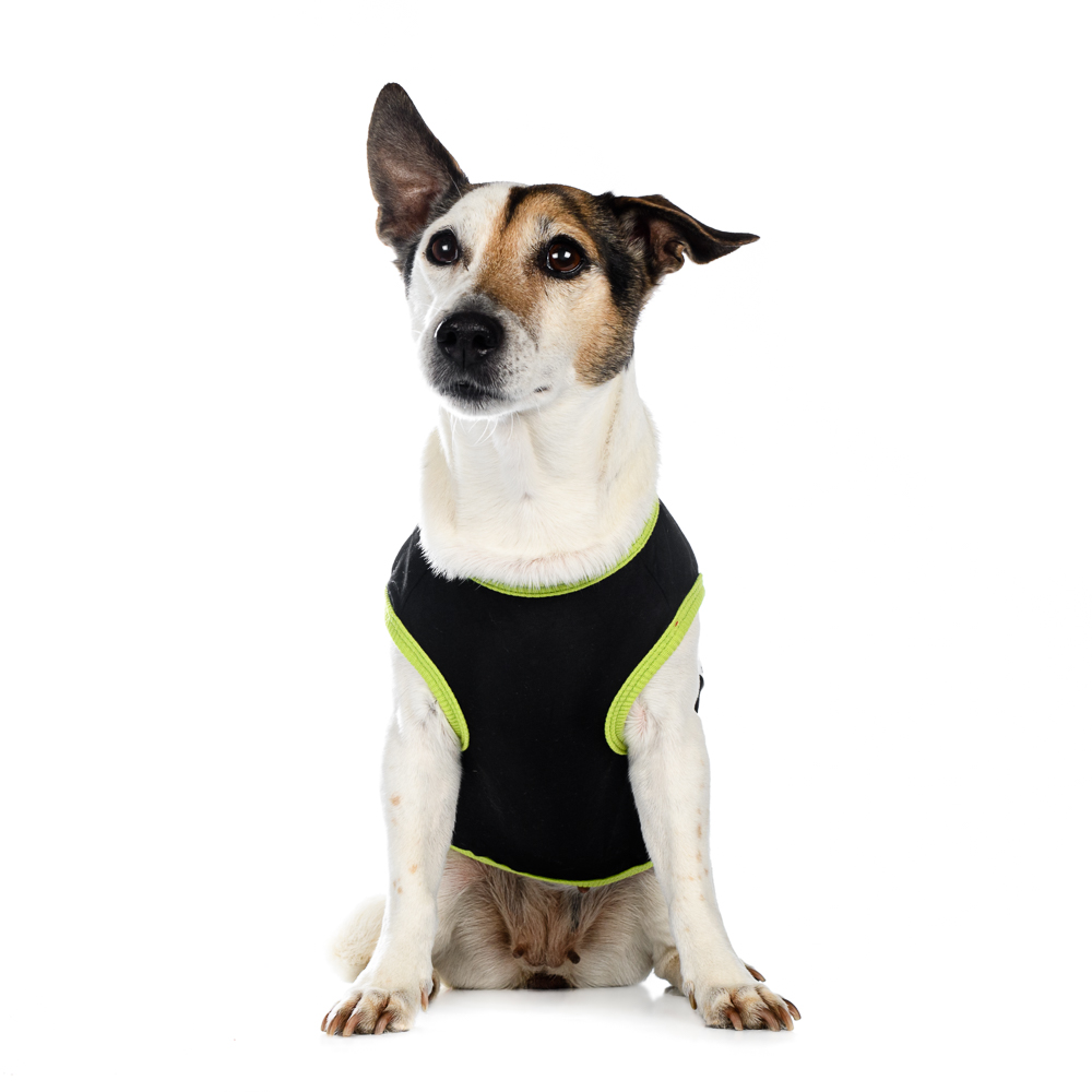 

Petmax Футболка 2XL черная с акулой