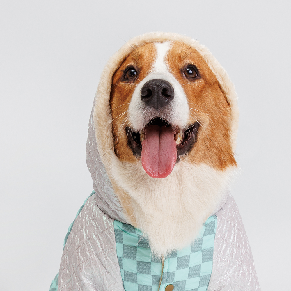 Petmax Комбинезон с капюшоном для собак, 3XL, бирюзовый (девочка)
