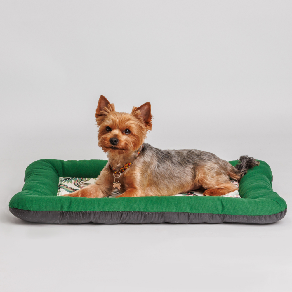 Petmax Подстилка для собак и кошек, 70х50 см, зеленая