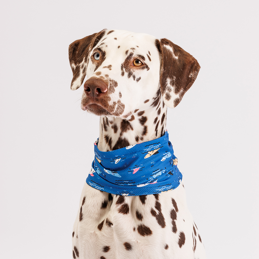 Rurri Ошейник-шарф охлаждающий для собак, S, синий с акулами