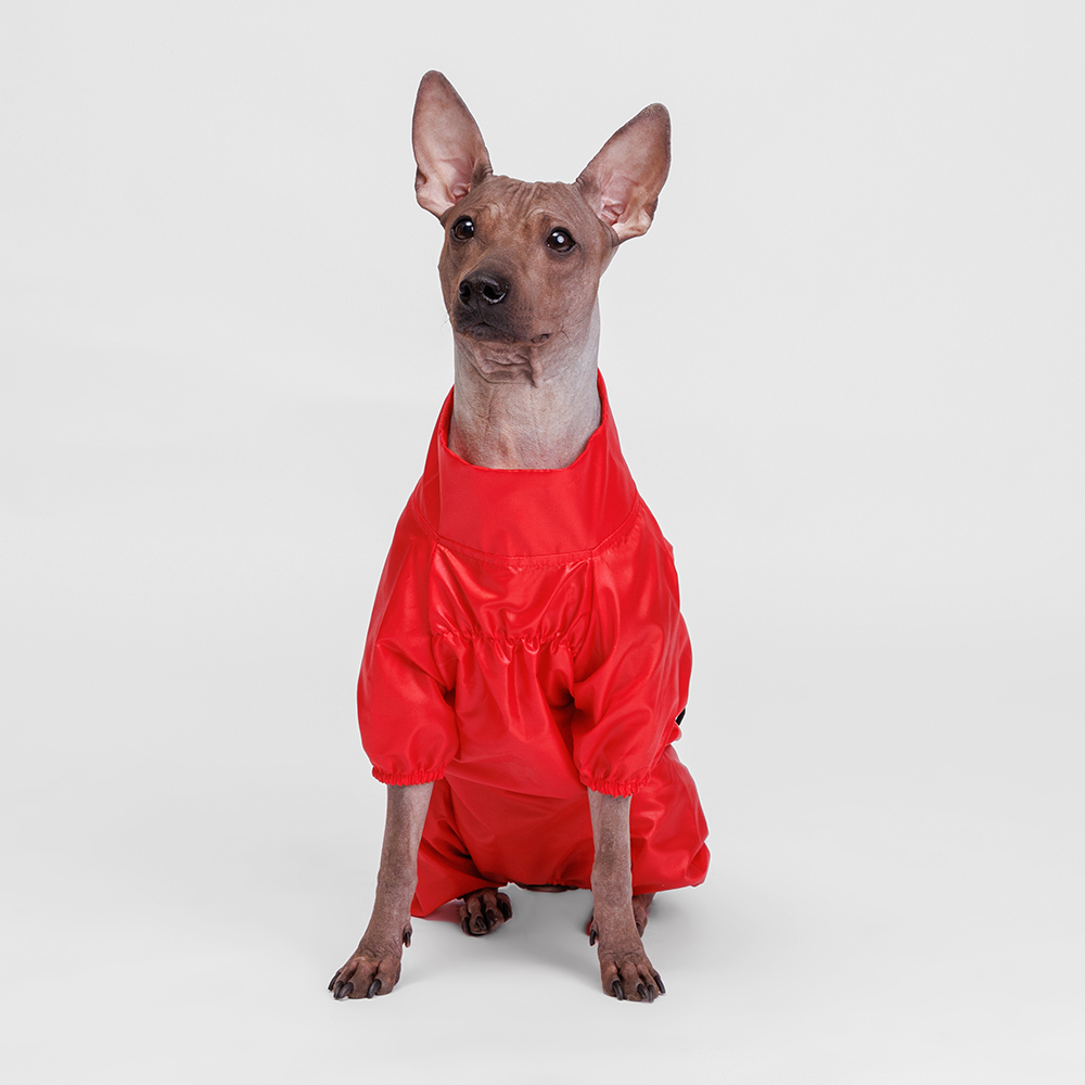 Rurri Дождевик для собак, XL, 31х35х54 см, красный (девочка)