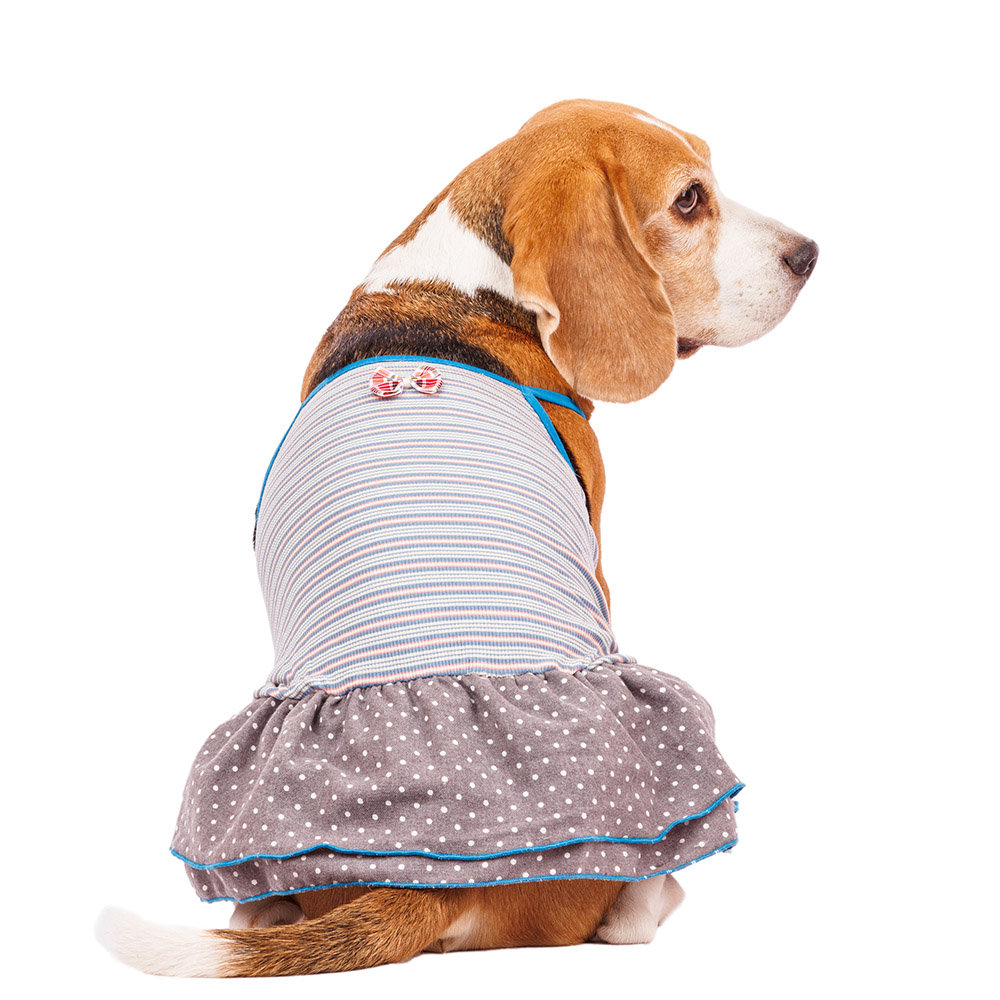 Petmax Платье для собак с бантиком 2XL голубой (девочка)