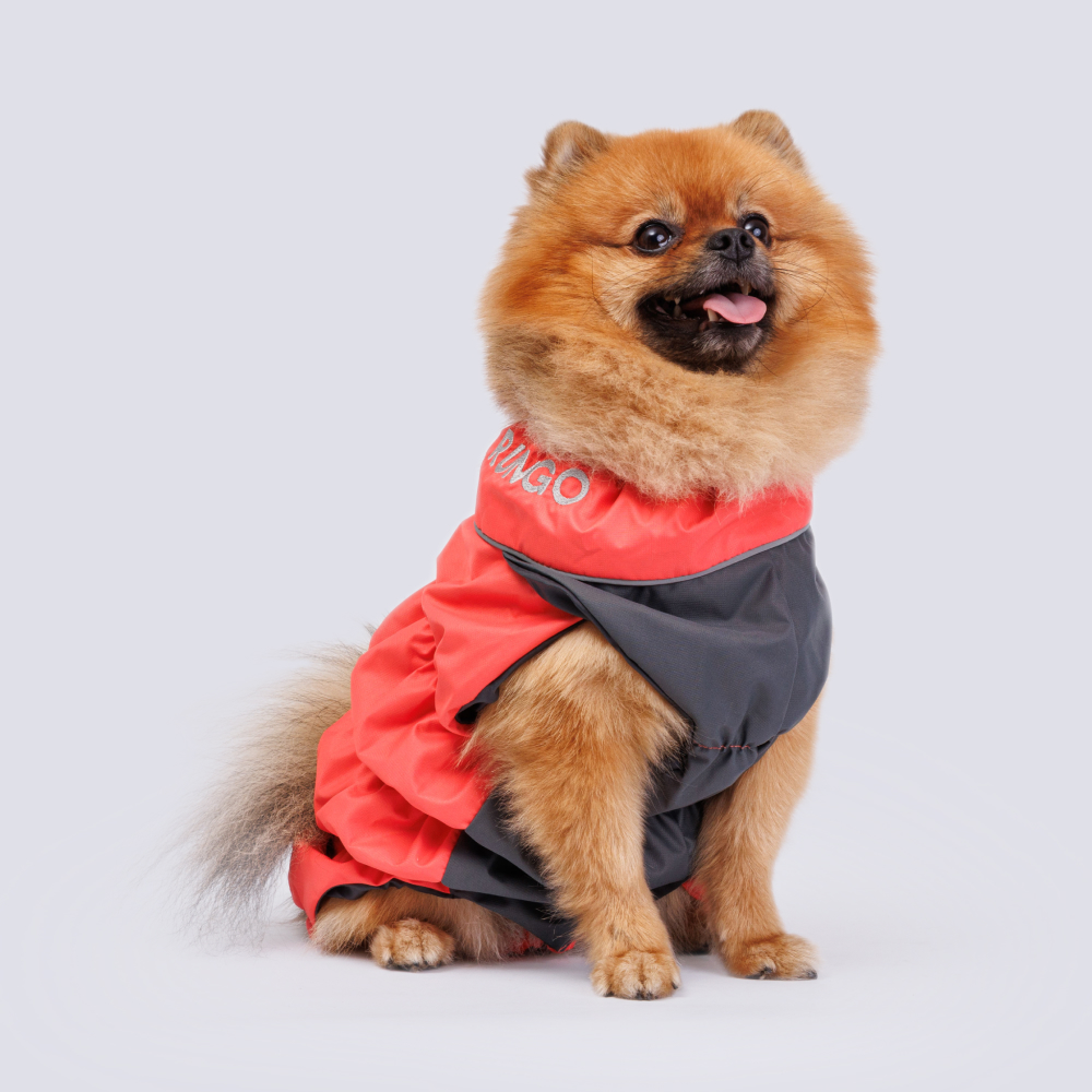 

Rungo Жилетка из мембраны с подкладкой для собак, коралловый, длина спины 28 см, обхват груди 50 см (девочка)