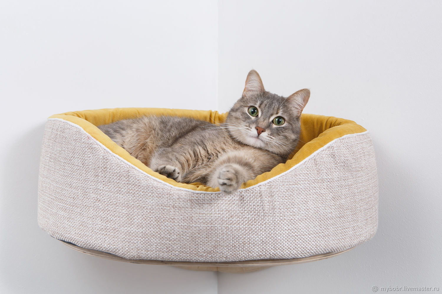 Нужен ли кошке свой домик или лежак?