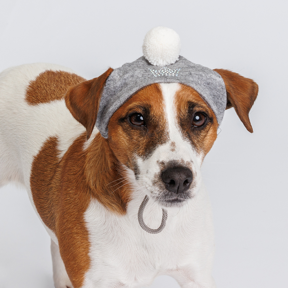 Rurri Шапка зимняя универсальная для собак, объем головы до 30 см, серый (унисекс)
