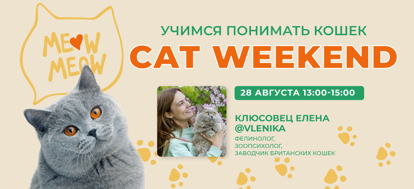 Cat weekend: учимся понимать кошек вместе с фелинологом