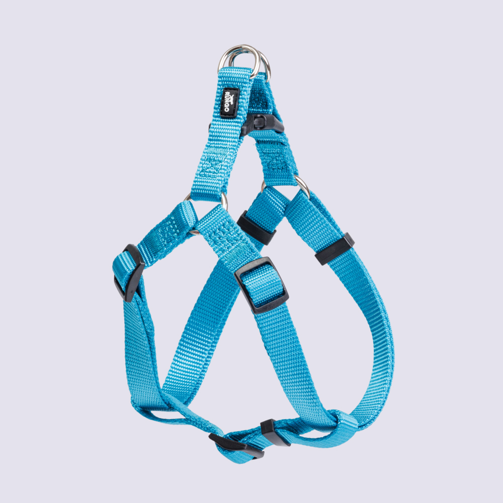 Rungo Шлейка нейлоновая для собак Step-in, 15 мм, 45-63 см, голубая