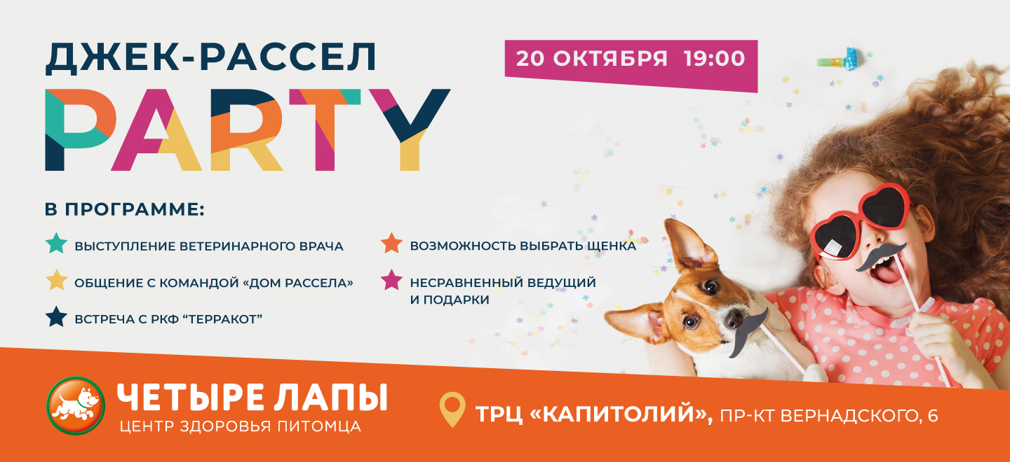 Приглашаем на джек-рассел party!