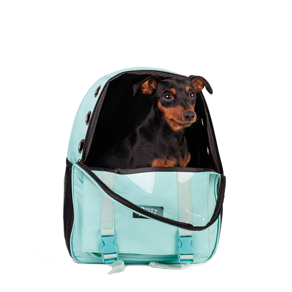 Rurri Рюкзак для переноски кошек и собак, 33x43x21 см