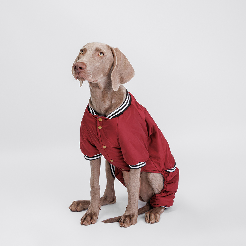 

Petmax Комбинезон для собак Комикс, 5XL, кофейный