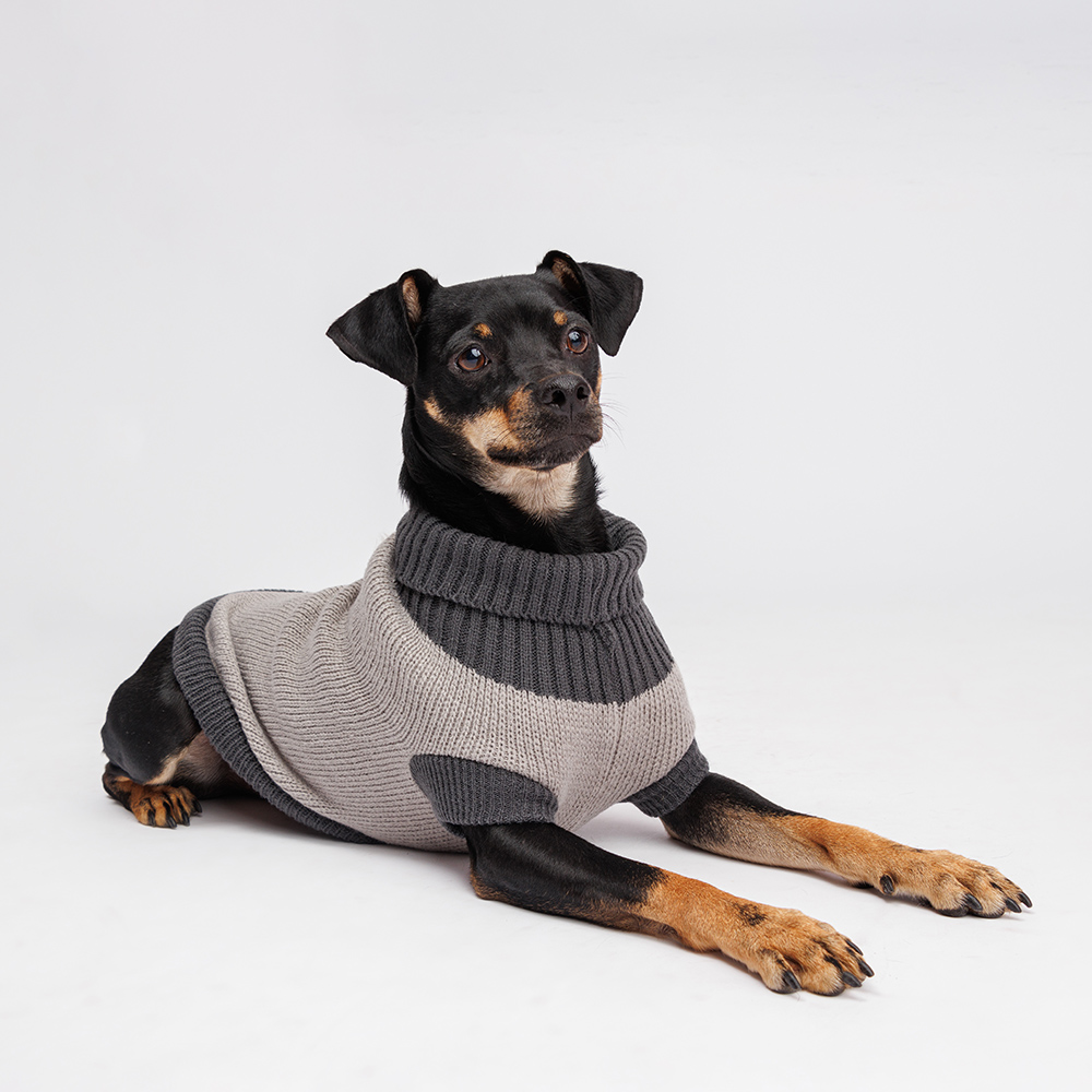 

Petmax Свитер с аппликацией для кошек и собак, 40 см, серый