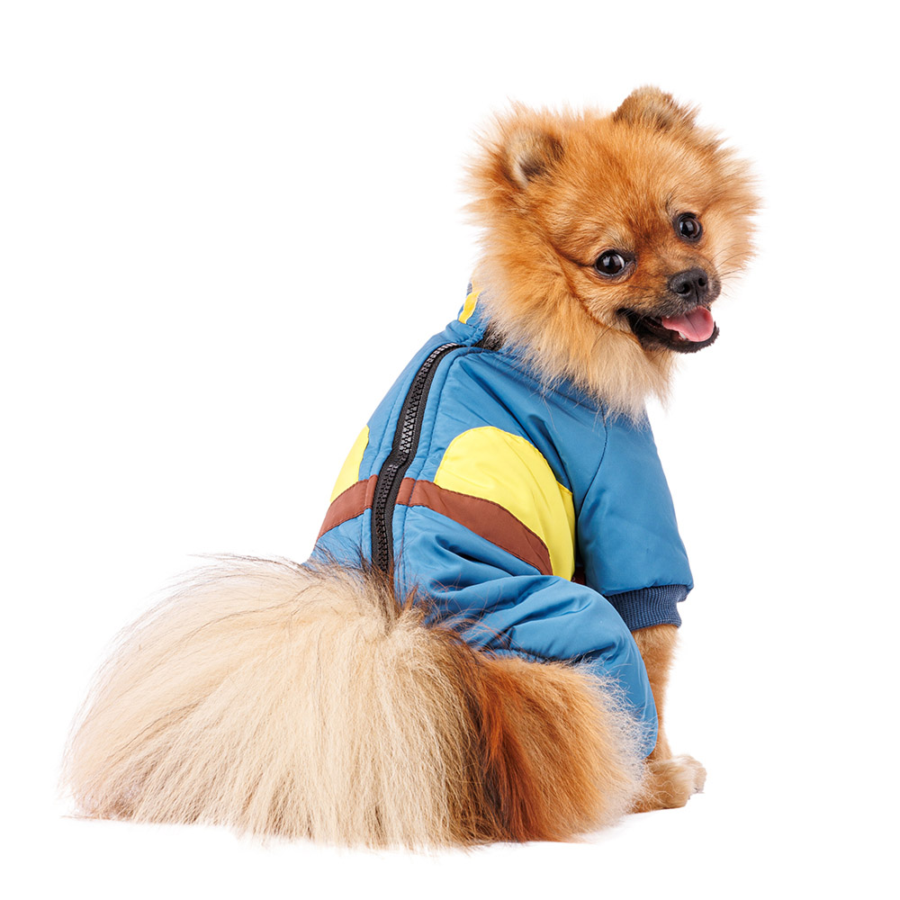 

Petmax Комбинезон на молнии для собак XL голубой (унисекс)