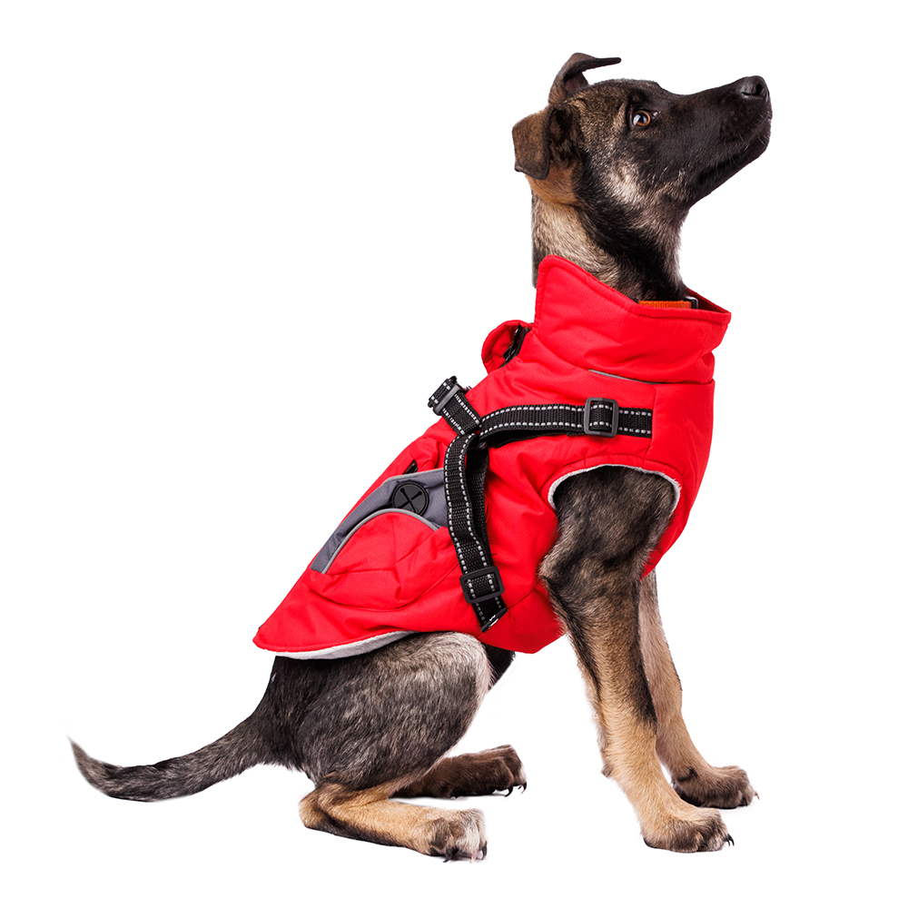 

Rungo Куртка на молнии с карманами красная L