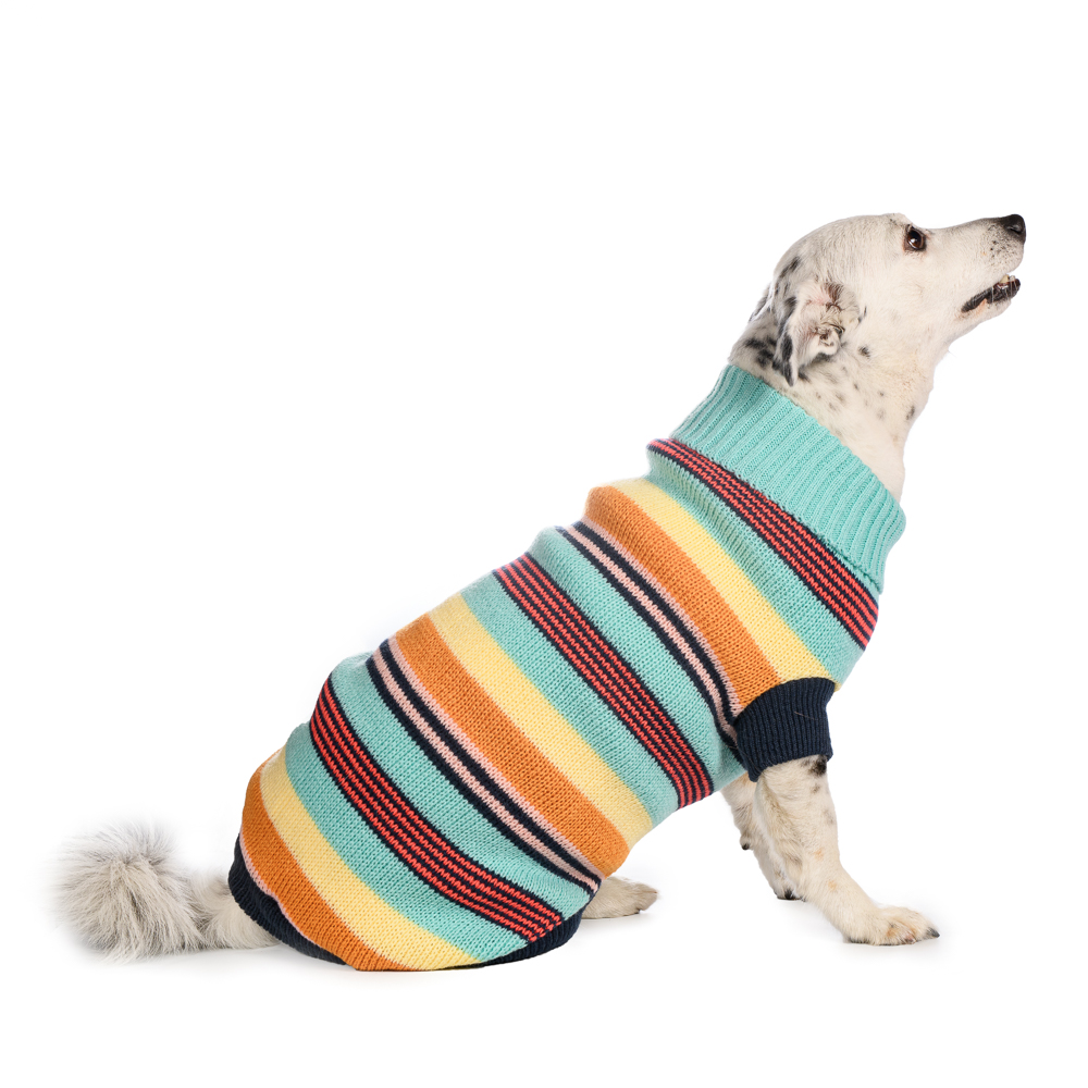 

Petmax Свитер цветные полоски голубой 55см