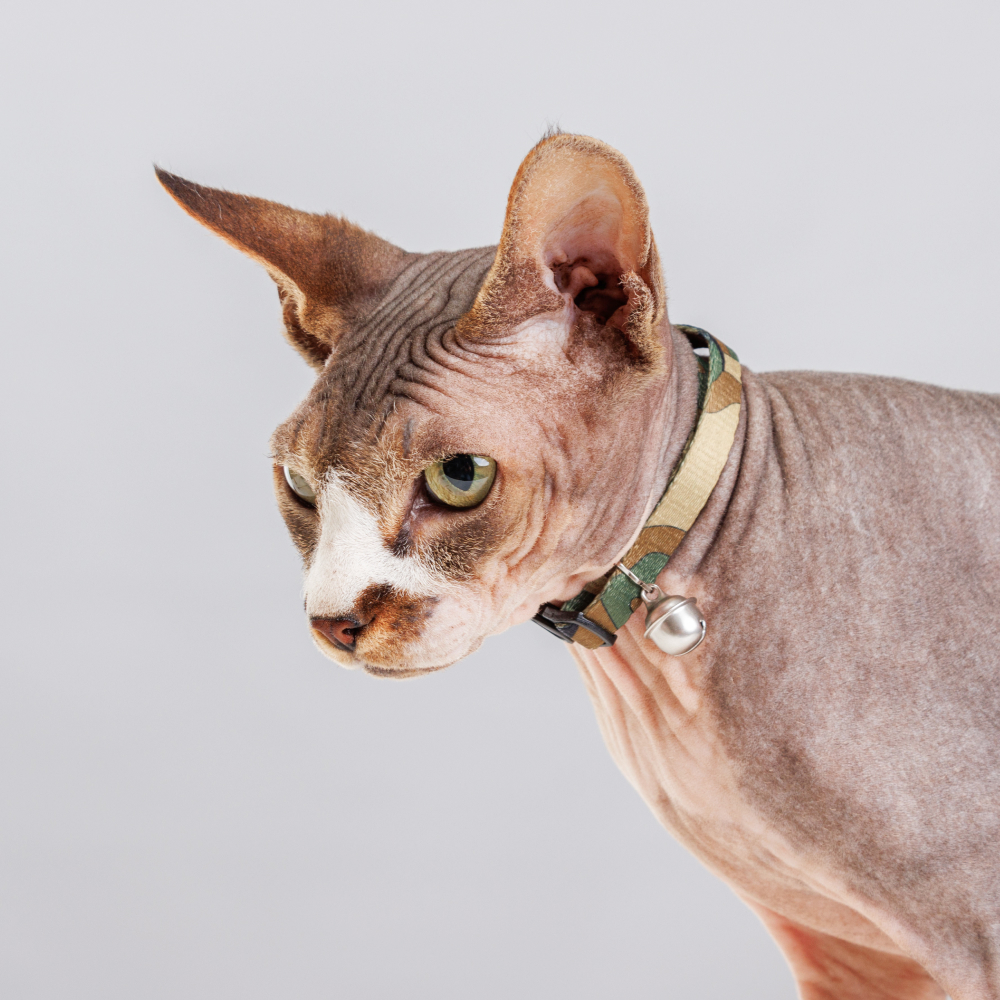Petmax Ошейник нейлоновый с колокольчиком для кошек, 1х30 см, коричневый