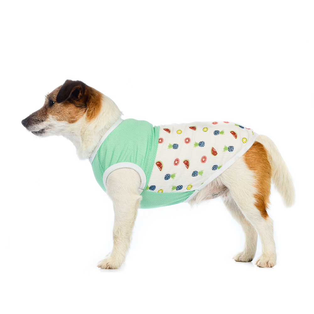 

Petmax Футболка M бирюзовая с фруктами