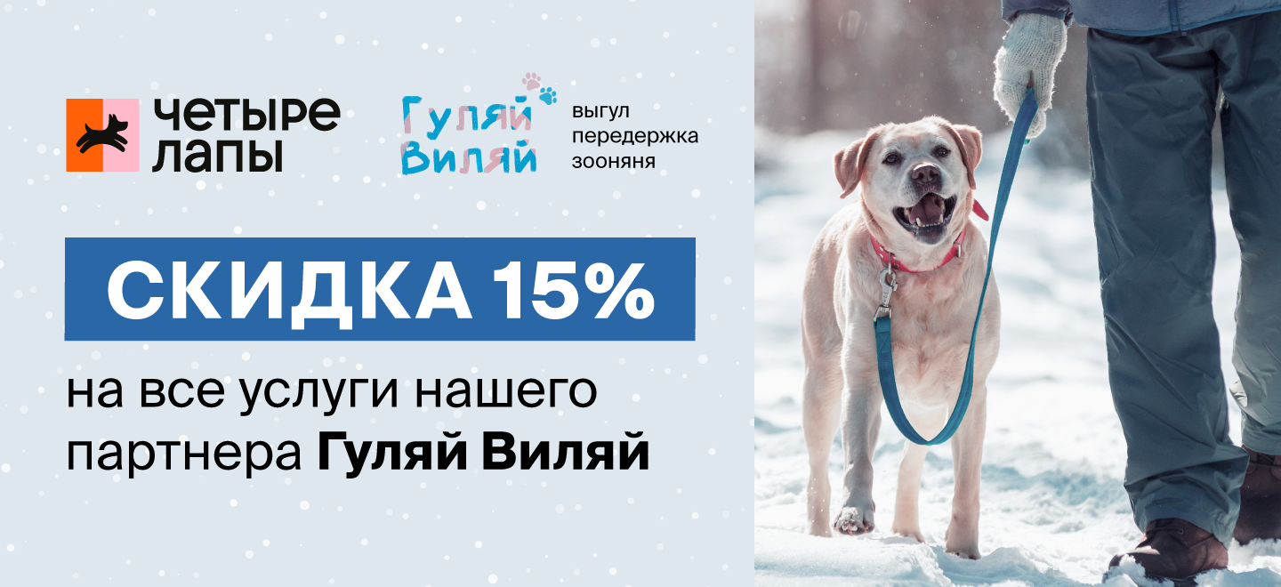 Скидка 15% на все услуги нашего партнера Гуляй Виляй - интернет-зоомагазин  Четыре Лапы