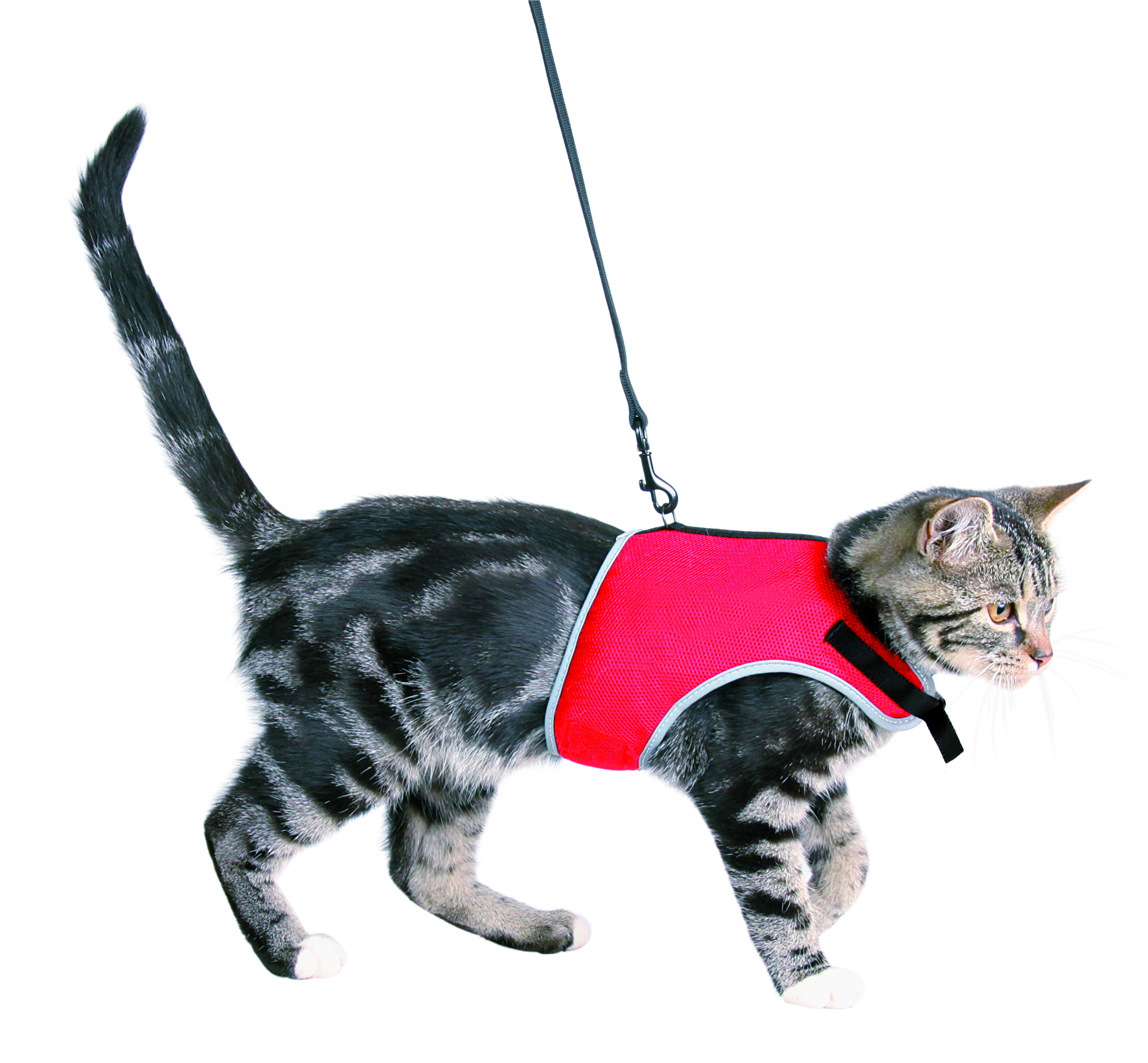 Trixie Шлейка мягкая с поводком для кошек, 24–42 см, 1,2 м