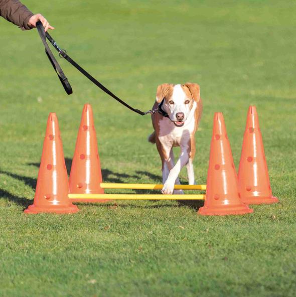 Trixie Набор для аджилити Препятствие для собак Dog Activity набор 3 шт, 78 см,оранжевый 