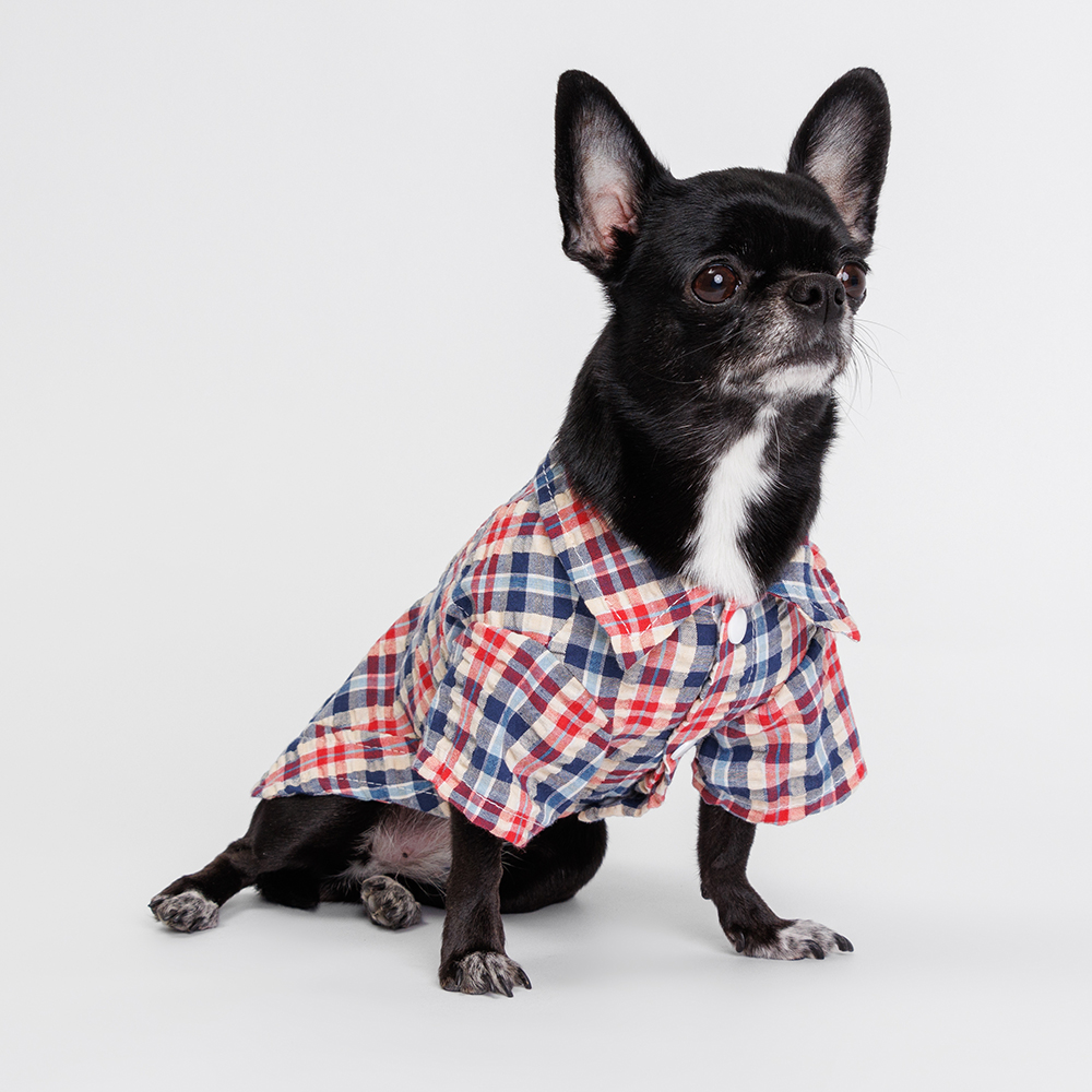 

Petmax Рубашка сине-красная в клеточку M