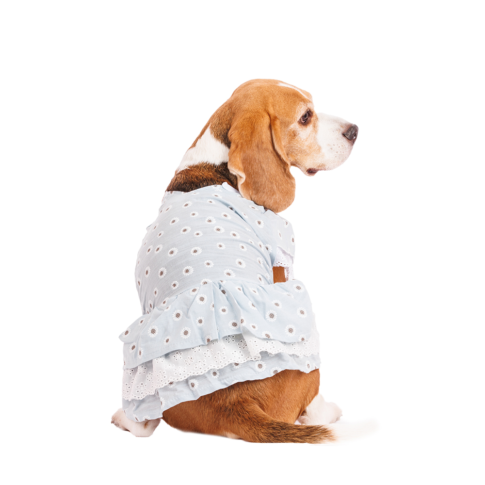 Petmax Платье для собак с ромашками 2XL голубой (девочка)