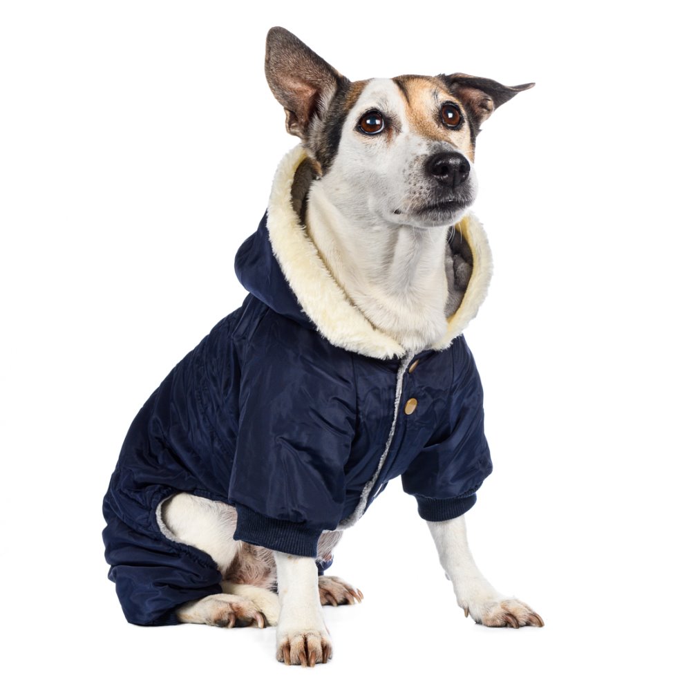 

Petmax Комбинезон синий с меховым капюшоном 3XL