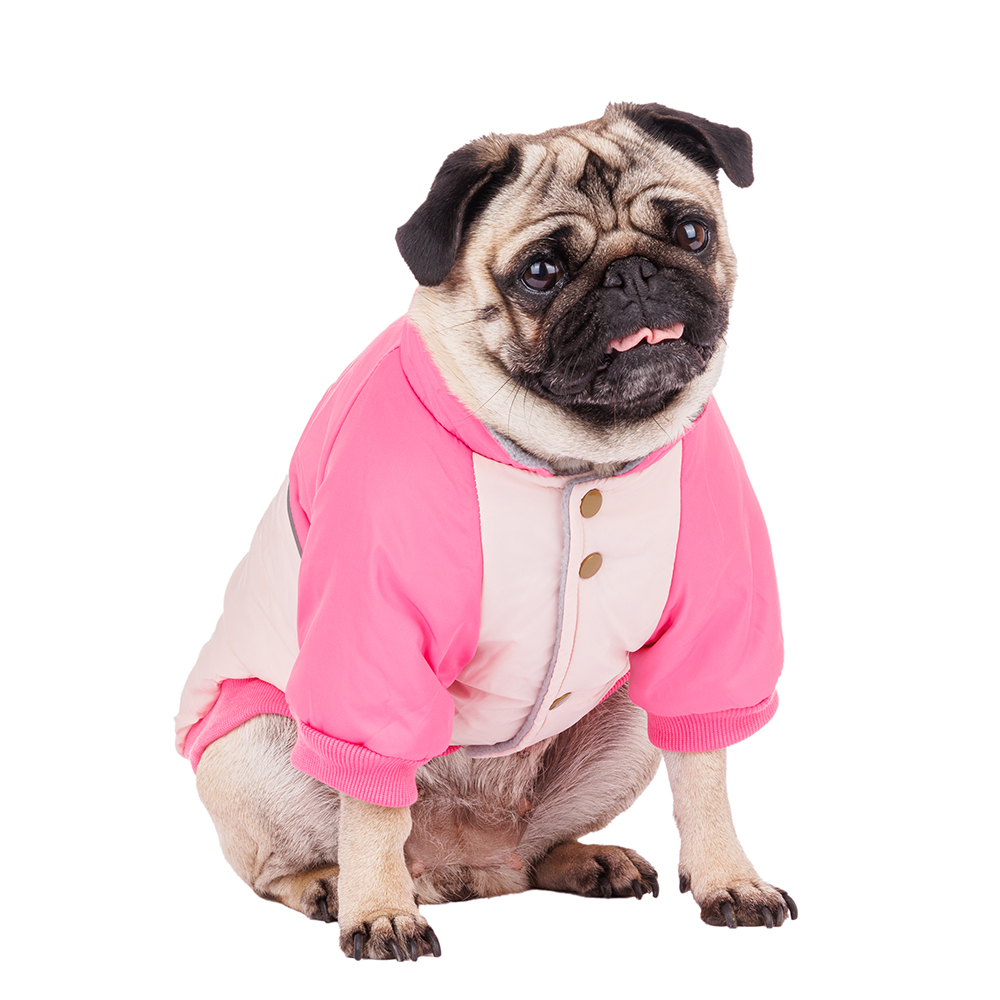 

Petmax Куртка для собак XL розовый (унисекс)