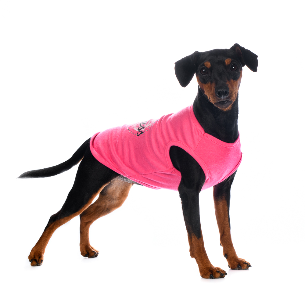 Petmax Футболка для собак Princess M розовый (унисекс)
