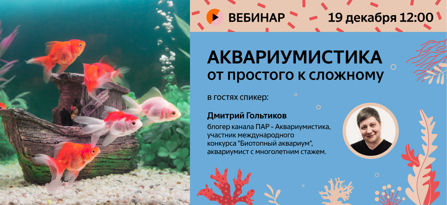 Приглашаем на вебинар по аквариумистике!