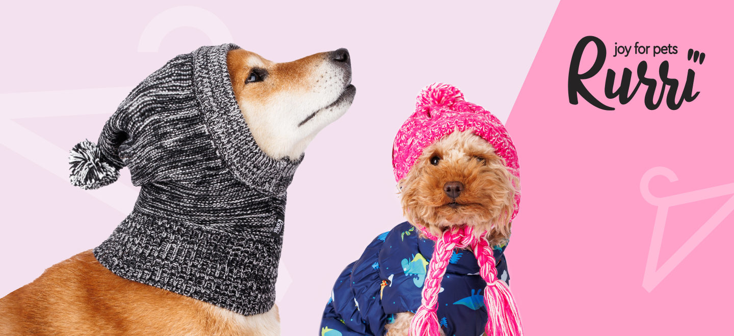 Шапки для собак: самые модные и удобные фасоны и модели (+ фото и видео) | Ваши Питомцы
