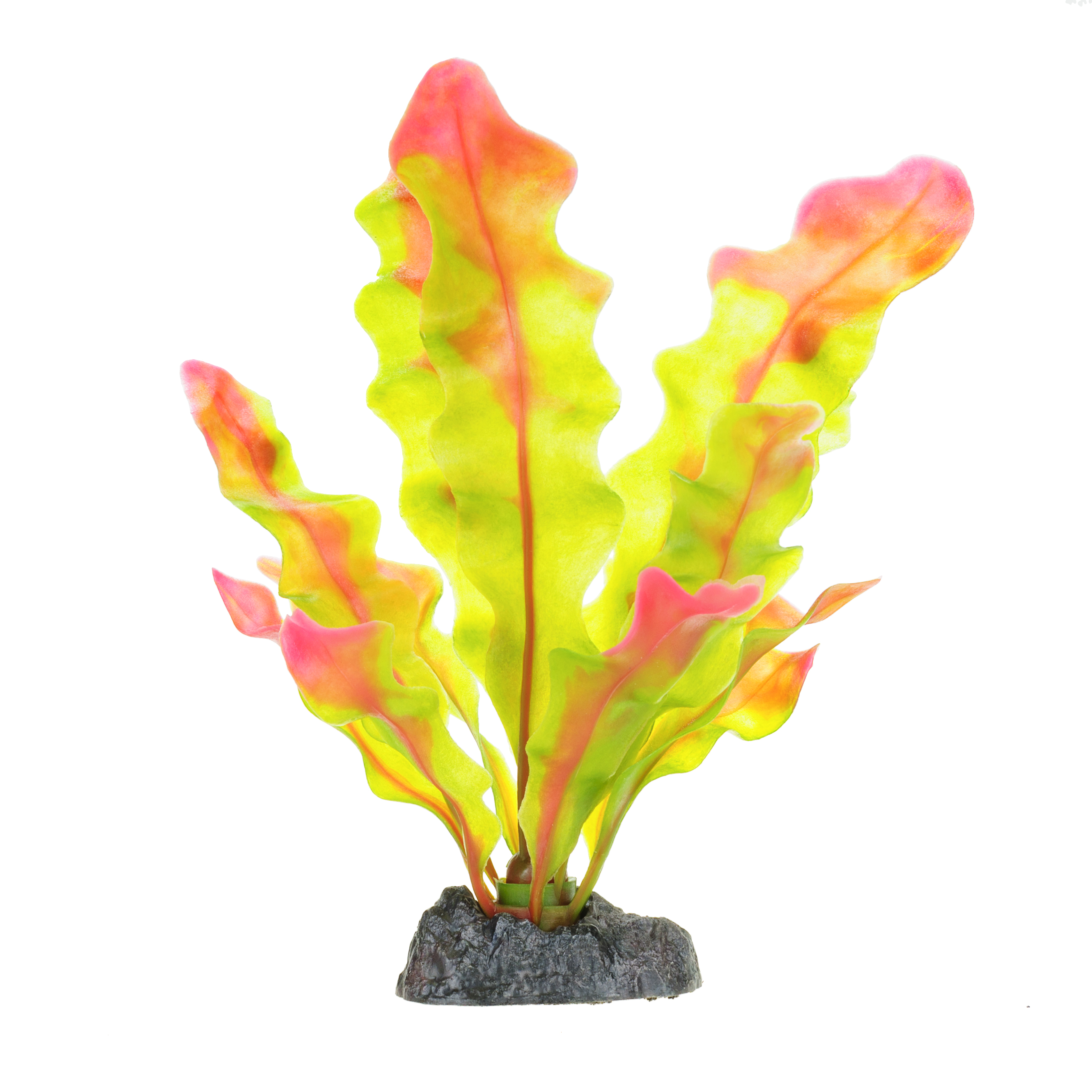 Penn Plax Растение FLOWERING CRYPT 20см с грузом красно-зеленое