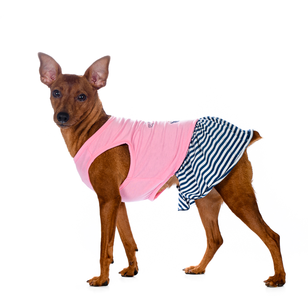 Rurri Платье для собак Space-Travel 2XL розовый (девочка)