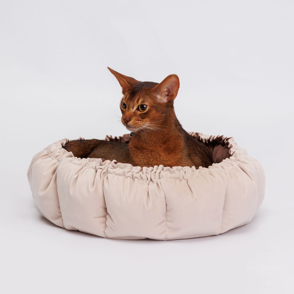 Rurri Лежак с утяжкой двусторонний для кошек и собак мелких пород, 40х40х15 см