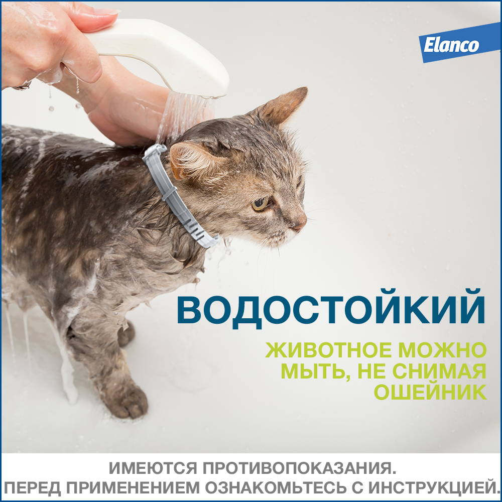 Elanco Форесто Ошейник для кошек от блох и клещей, 38 см 