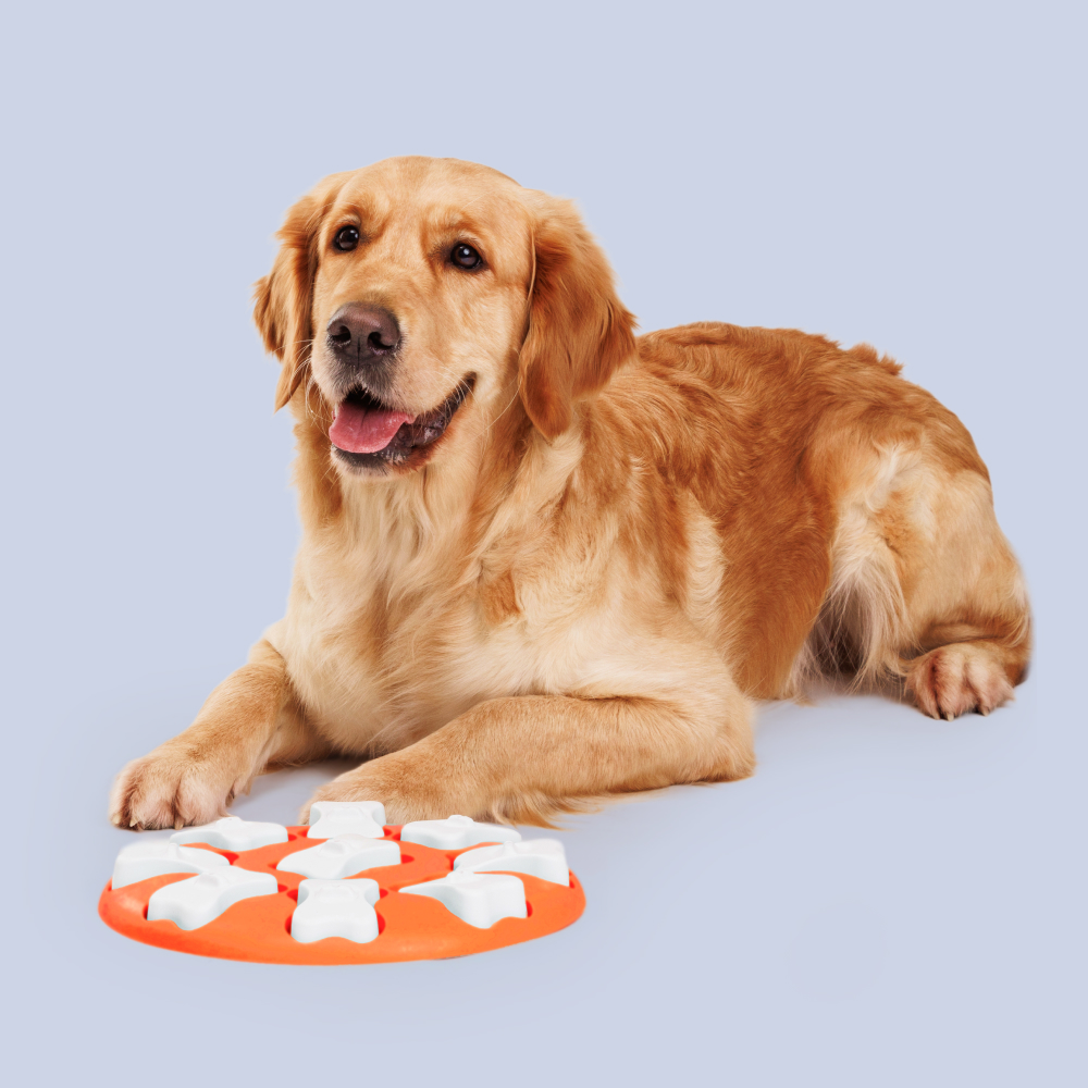 HiPet Игрушка для собак Головоломка Puzzle Bones, диаметр 29 см