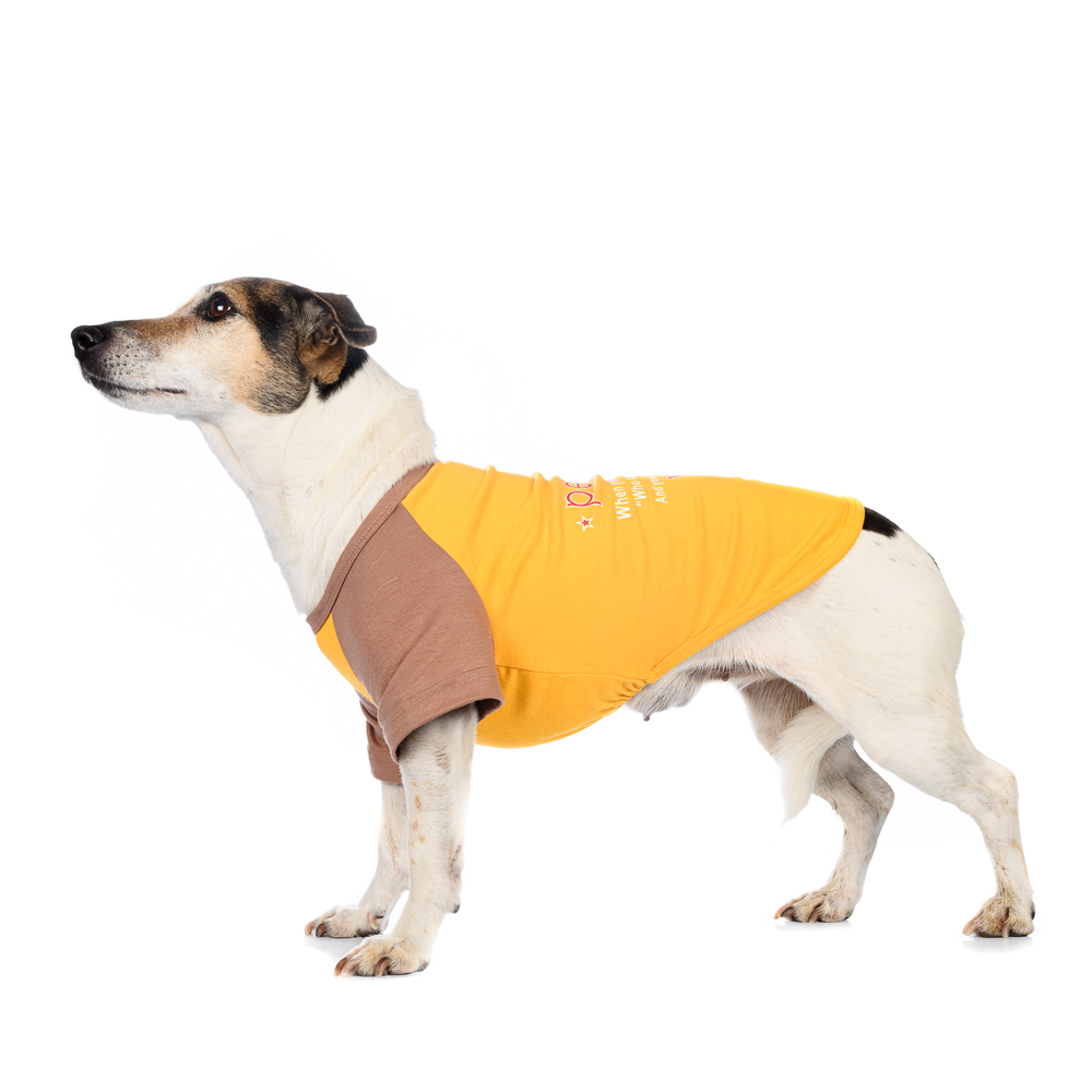 

Petmax Футболка L желто-коричневая