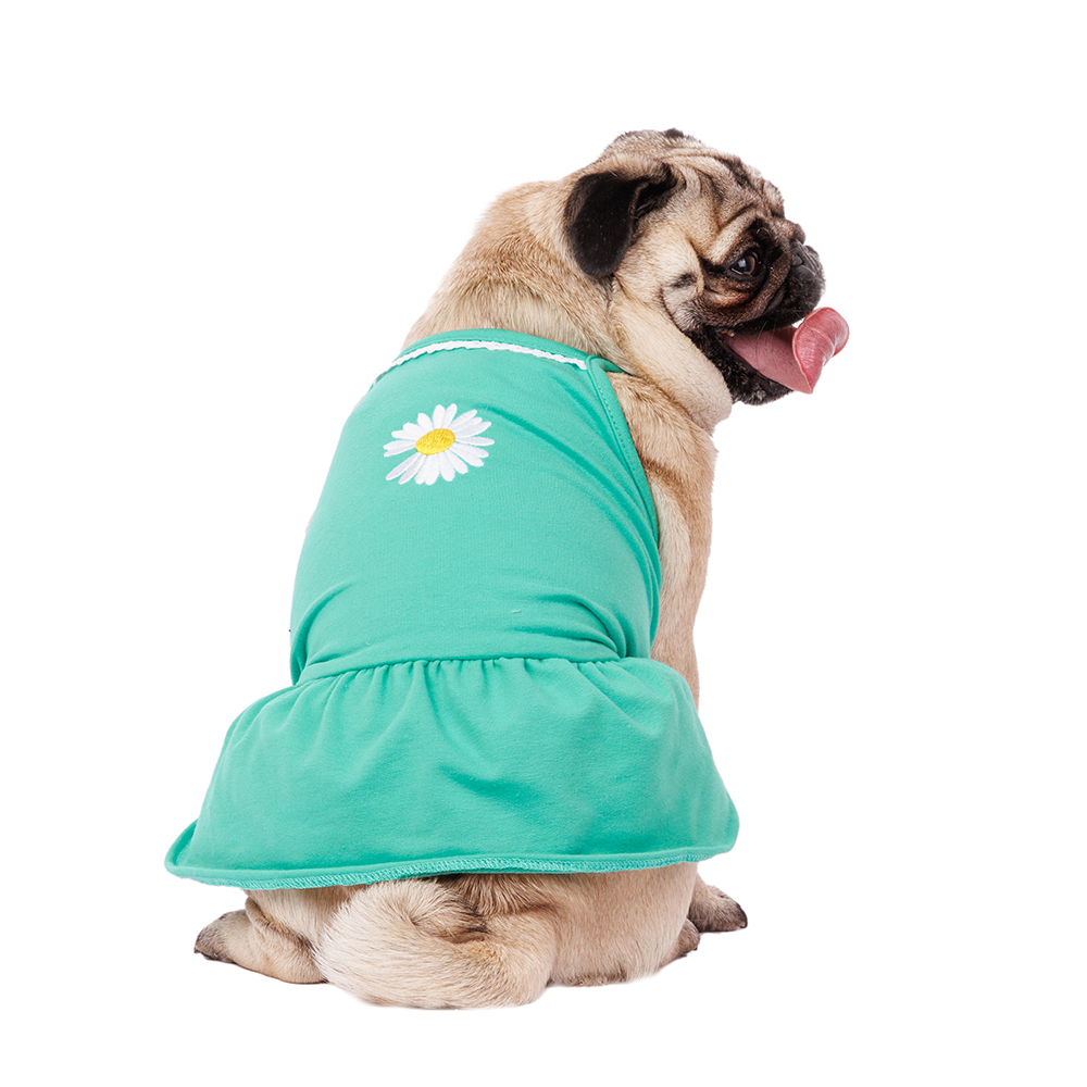 Petmax Платье для собак зеленое с ромашкой 2XL