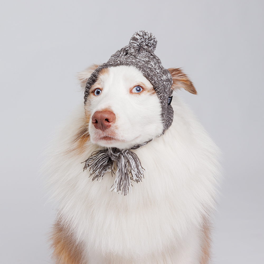 Rurri Шапка с завязками для собак, обхват головы 40 см, высота шапки 16 см, серая