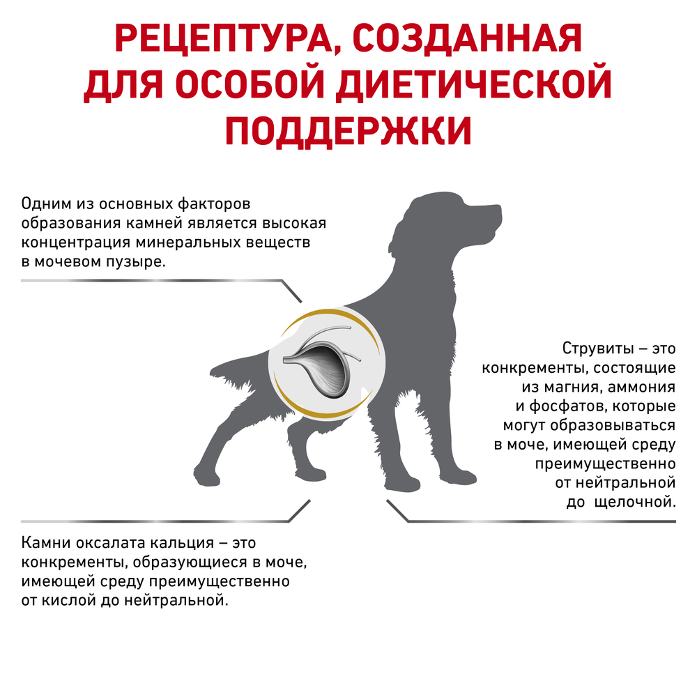 Royal Canin Urinary S/O корм для собак при заболеваниях дистального отдела мочевыделительной системы, 13 кг