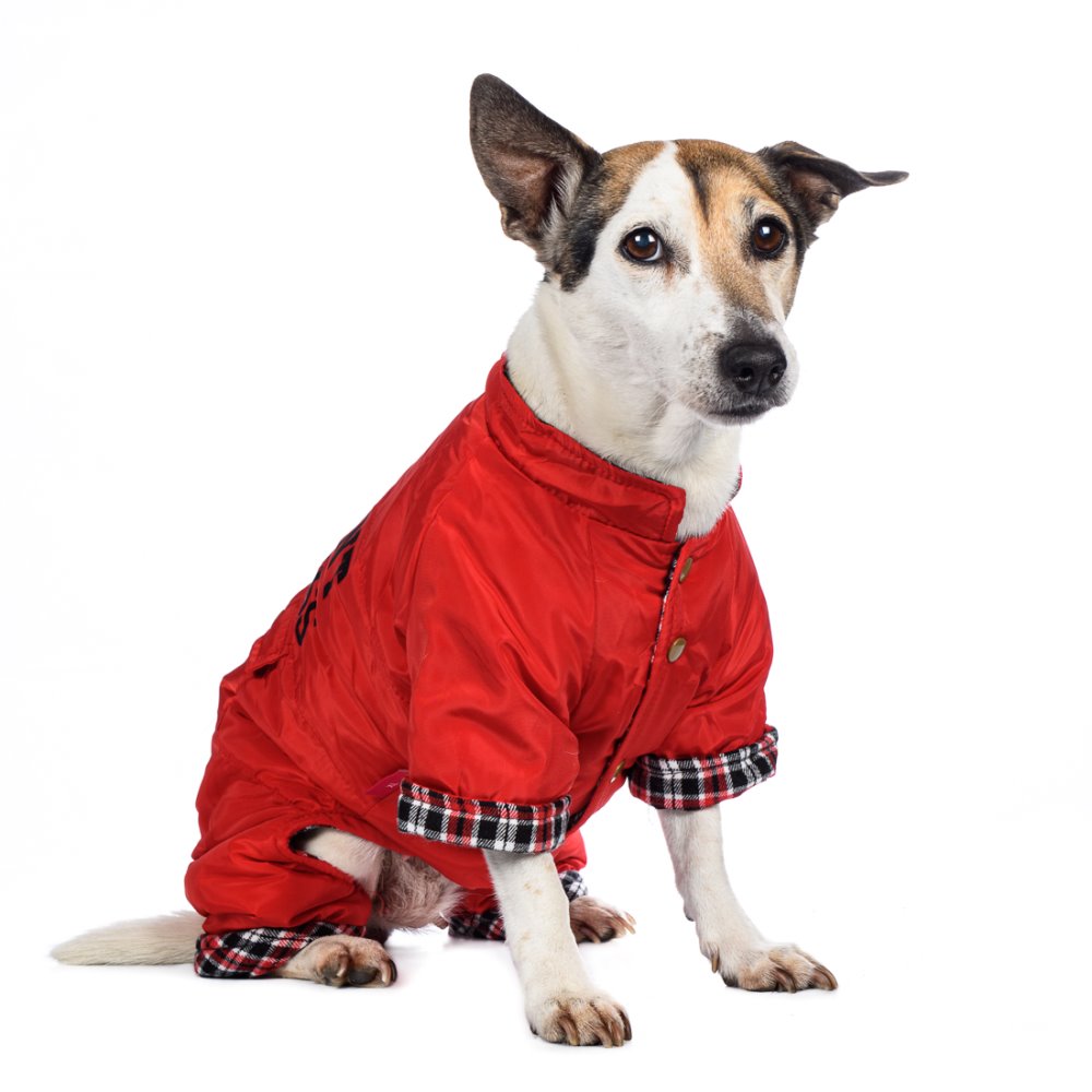 

Petmax Комбинезон красный девочка XL