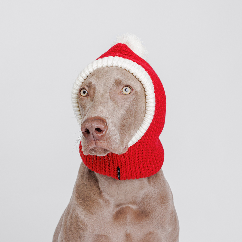 Rurri Капор для собак, обхват головы 30 см, высота шапки 29 см, красный