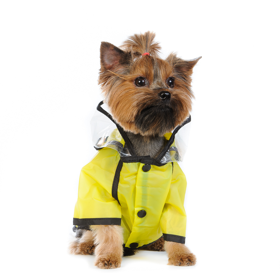 Petmax Дождевик с капюшоном для собак XL желтый (унисекс)