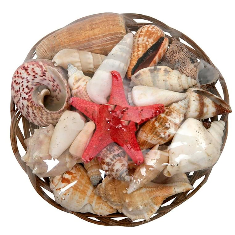 Аква Лого Набор раковин в корзинке 15 см
