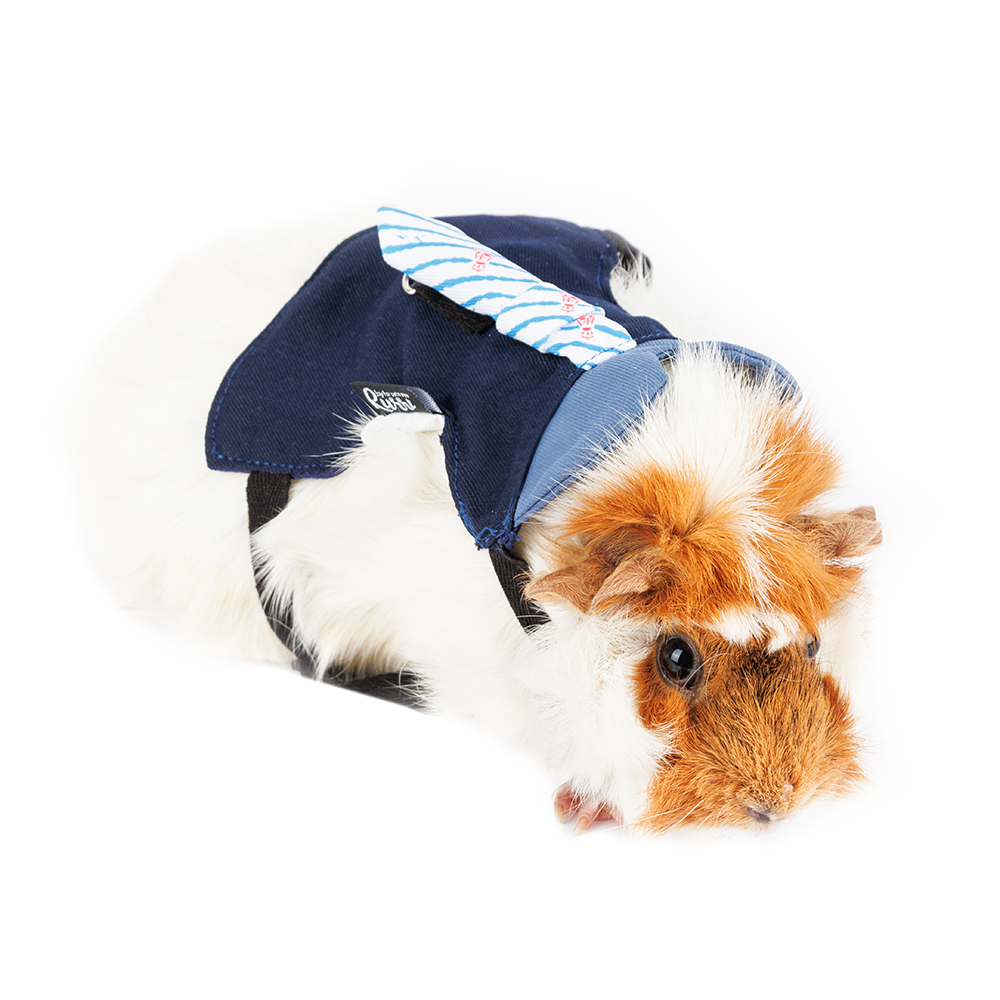 Rurri Шлейка для кролика с галстуком синяя